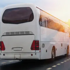 Ile jedzie bus z Holandii do Polski? Czas podróży i ceny biletów