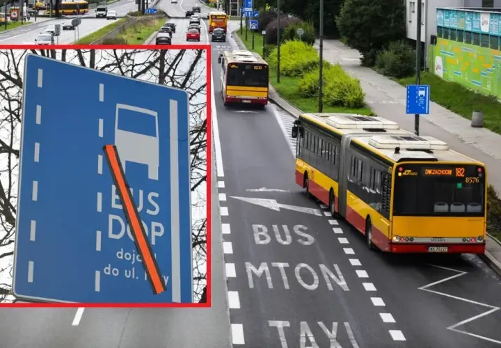 Dop bus co to znaczy i jakie pojazdy mogą korzystać z buspasów